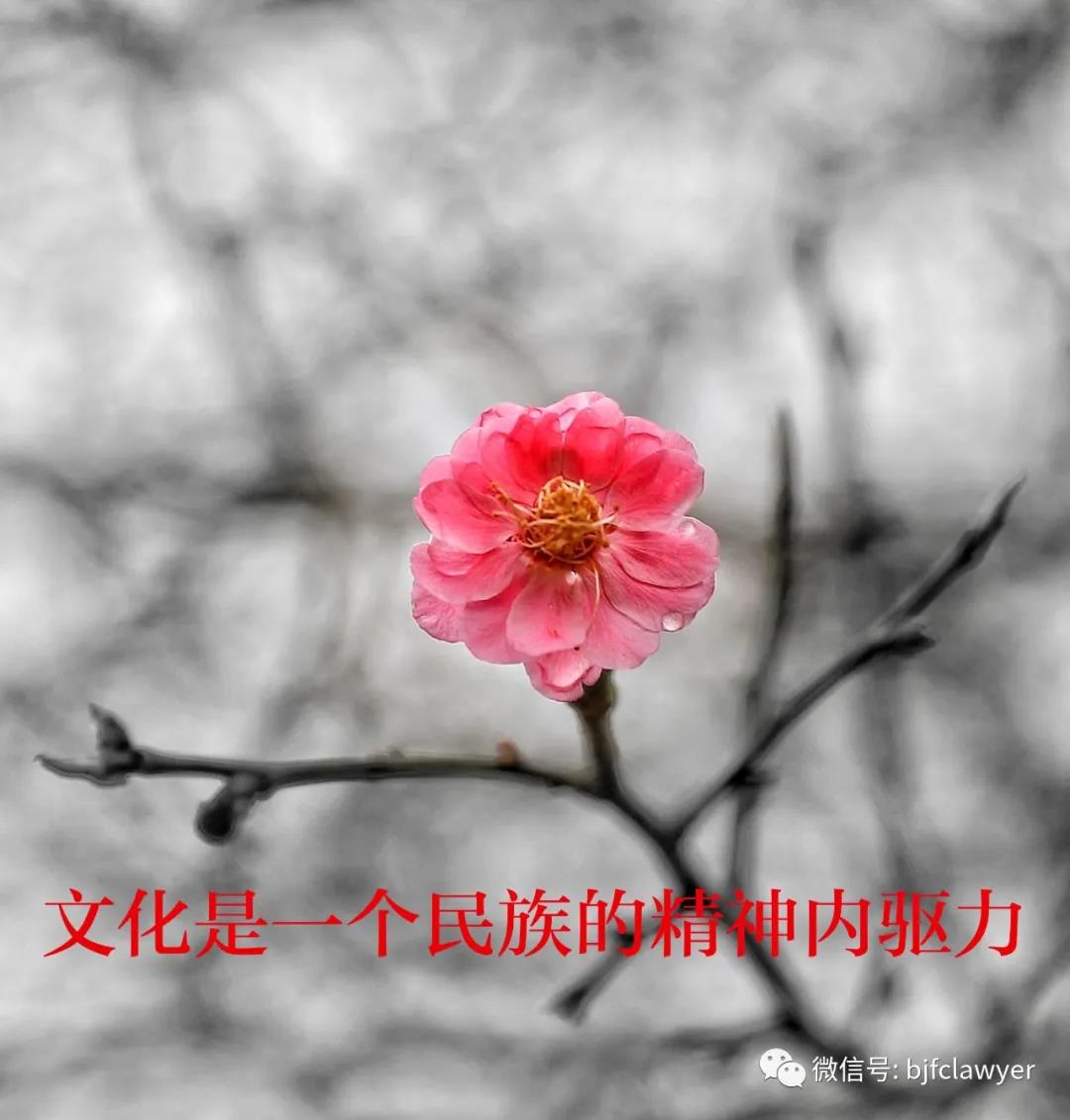 微信圖片_20210521111244.jpg